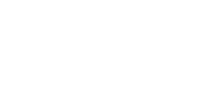 Functional Spine