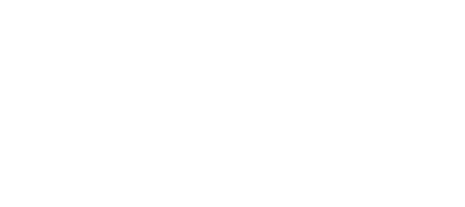 Ortivity
