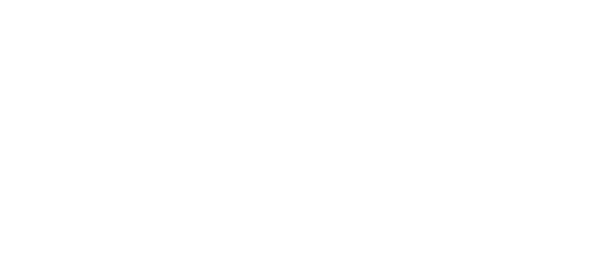 Dr. Vallant